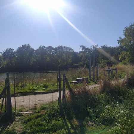 Gite La Pironniere - Piscine, Nature, Au Bord De La Riviere Montreuil-sur-Maine Zewnętrze zdjęcie