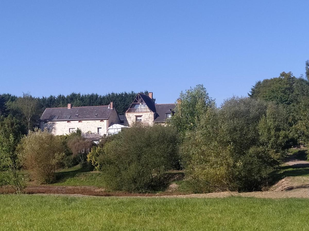 Gite La Pironniere - Piscine, Nature, Au Bord De La Riviere Montreuil-sur-Maine Zewnętrze zdjęcie